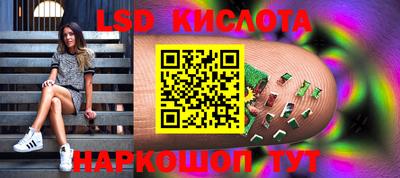 apvp Можга