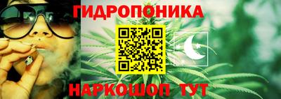 apvp Можга