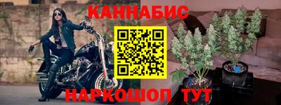 apvp Можга