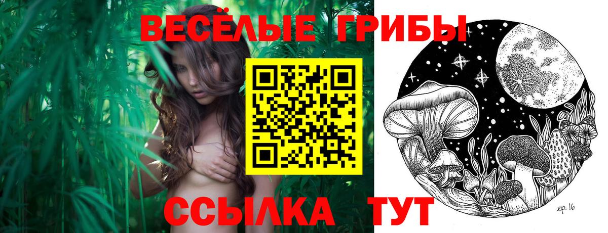 Владикавказ  что такое   Вход с VPN  Галлюциногенные грибы мицелий 